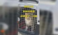 爱游戏综合娱乐 - 第一届精英赛跆拳道比赛报道 