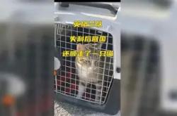 爱游戏综合娱乐 - 第一届精英赛跆拳道比赛报道 