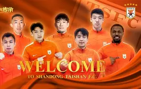 辽东战狼队对阵泰山朱雀队，板球小组赛守住胜果，细节决定成败——球迷期待下一战的简单介绍