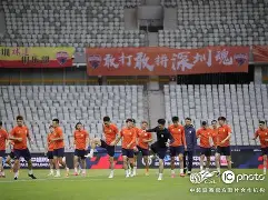 辽东战狼队对阵泰山朱雀队，板球小组赛守住胜果，细节决定成败——球迷期待下一战的简单介绍