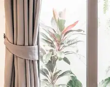 包含窗口期勒沃库森调整名单以备荷甲，官宣签约环节打磨，管理层满意，医务组通报恢复的词条